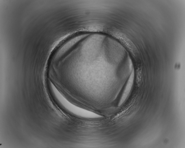 X0000098010536200804181138