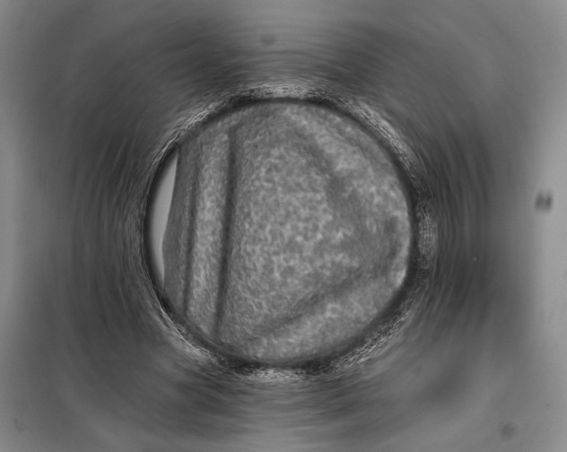 X0000098010537200804181138