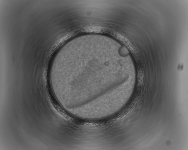 X0000098010538200804181138