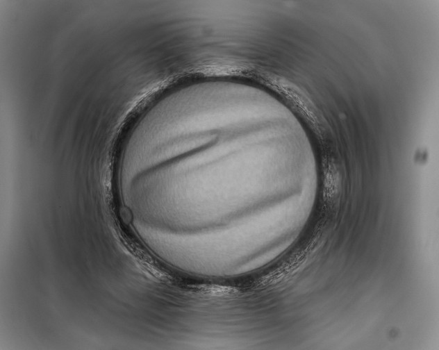 X0000098010539200804181138