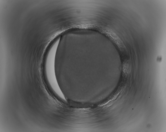 X0000098010540200804181138