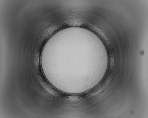 X0000098010541200804181138