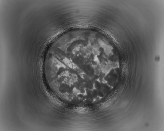 X0000098010542200804181138