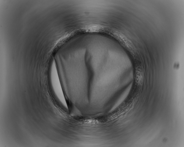 X0000098010543200804181138