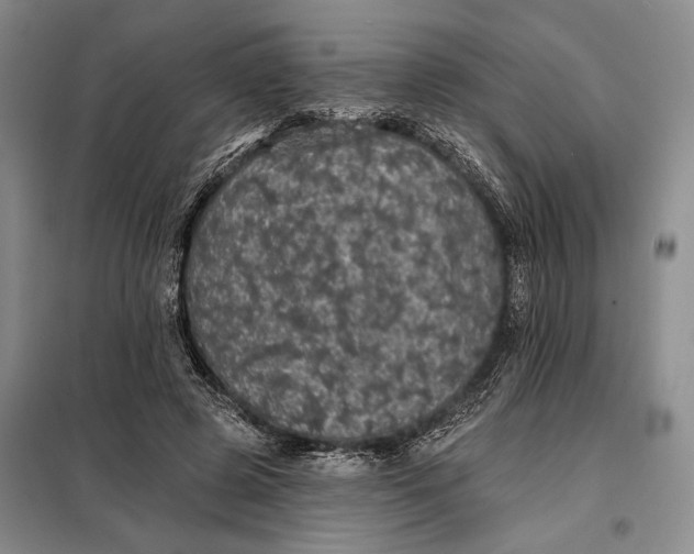 X0000098010545200804181138