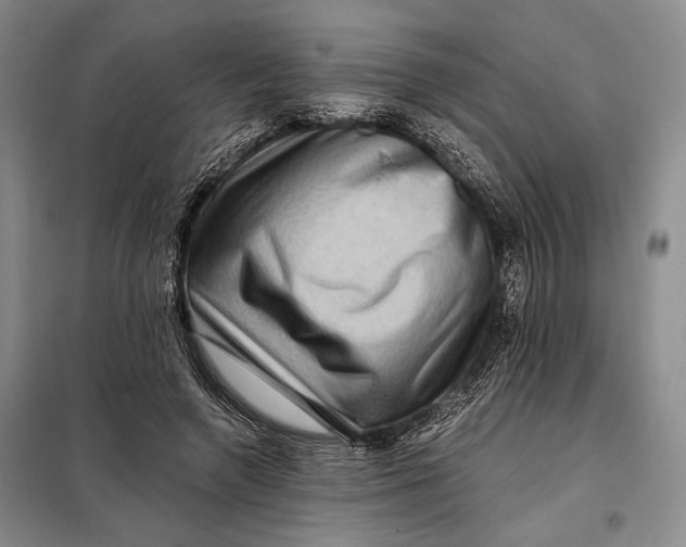 X0000098010546200804181138