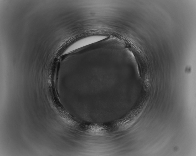 X0000098010547200804181138