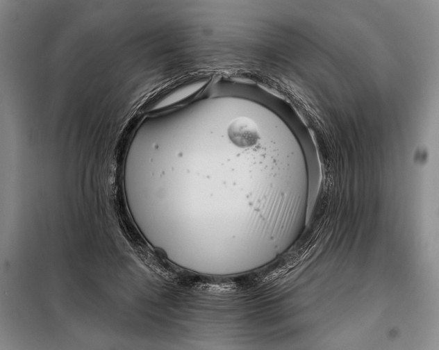 X0000098010548200804181138