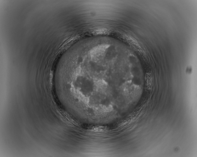 X0000098010550200804181138