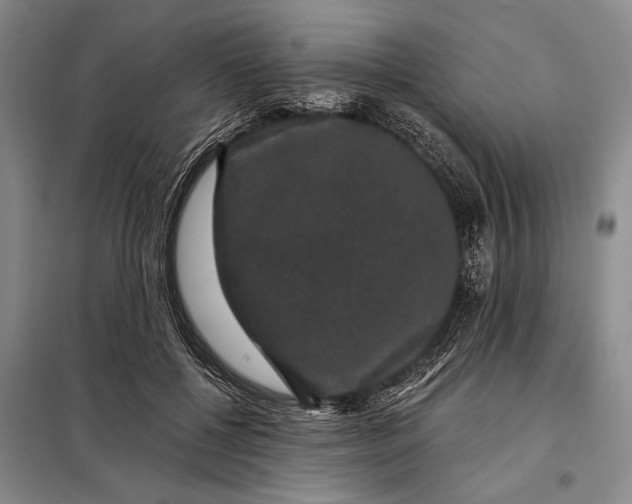 X0000098010552200804181138