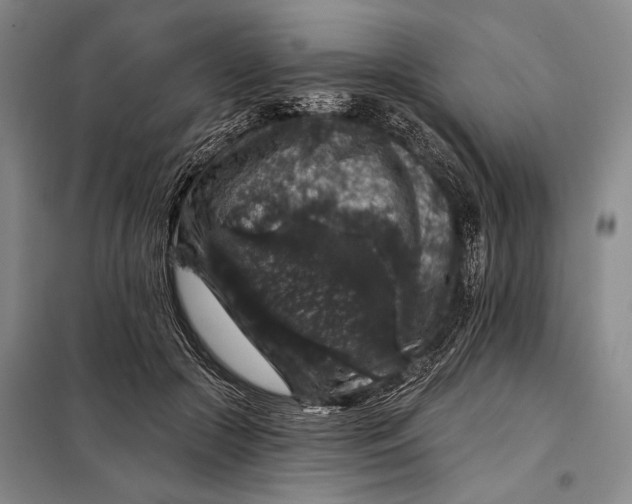 X0000098010553200804181138