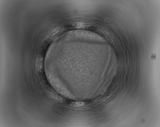 X0000098010554200804181138