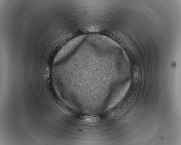 X0000098010555200804181138