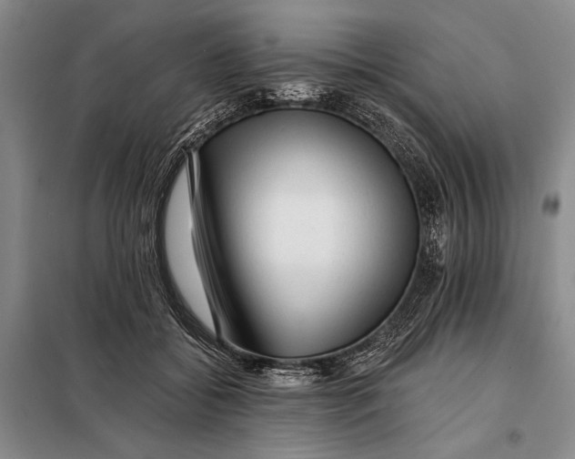 X0000098010556200804181138