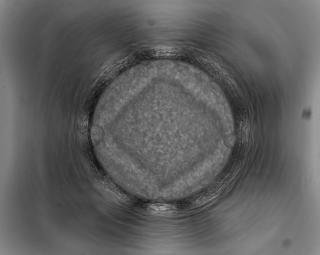 X0000098010557200804181138