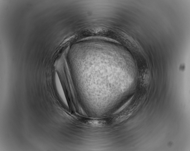 X0000098010558200804181138