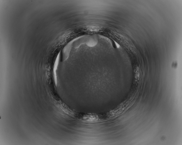 X0000098010559200804181138