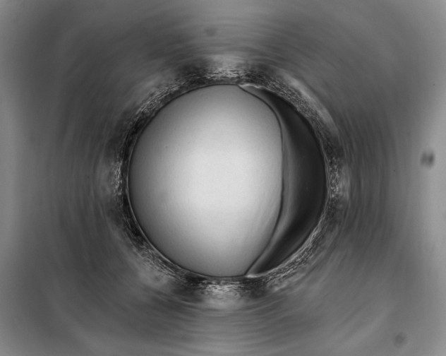 X0000098010560200804181138