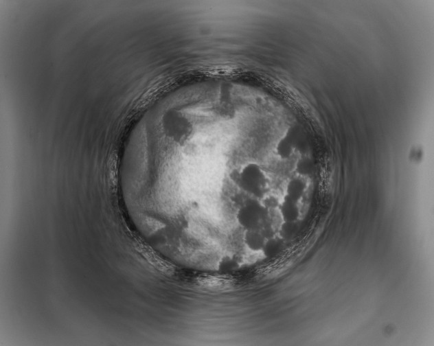 X0000098010561200804181138