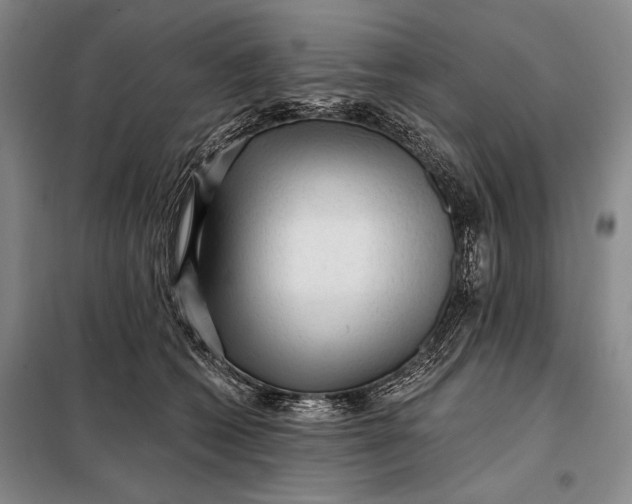 X0000098010562200804181138