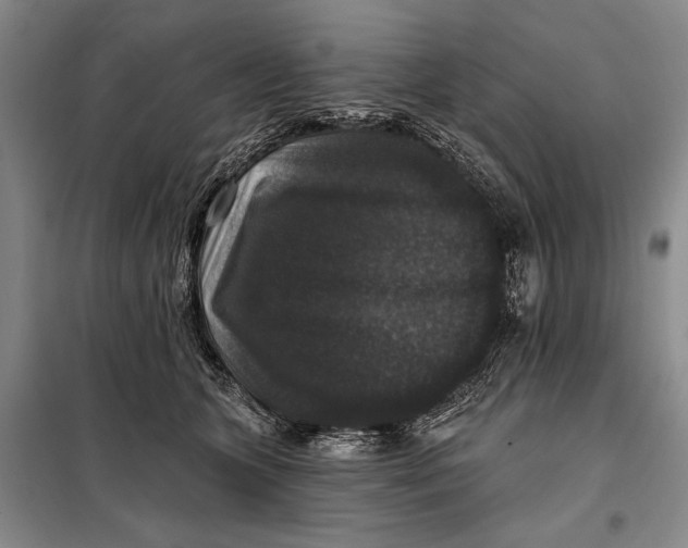 X0000098010563200804181138