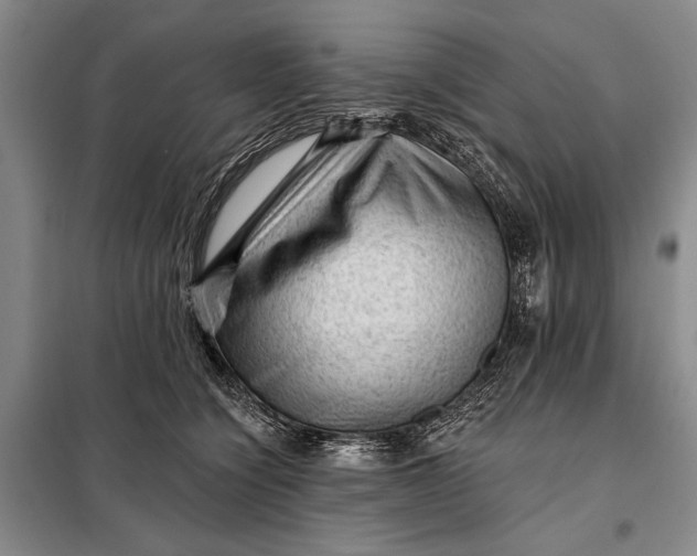 X0000098010564200804181138