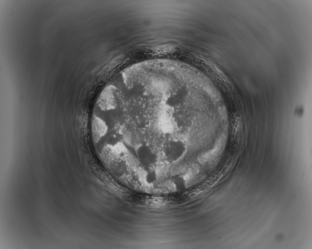 X0000098010565200804181138