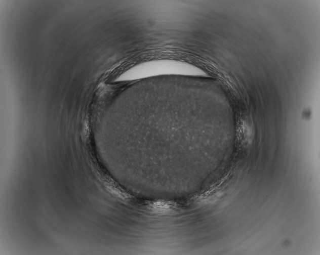 X0000098010566200804181138