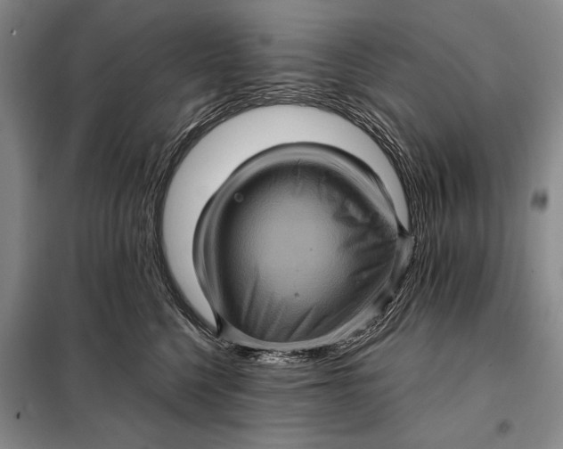 X0000098010568200804181138