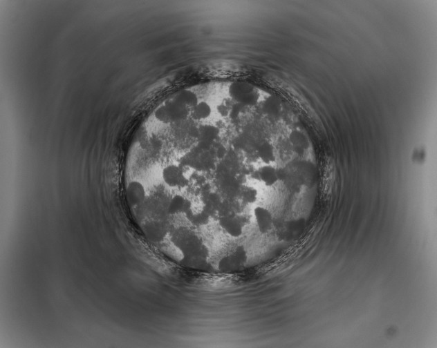 X0000098010569200804181138