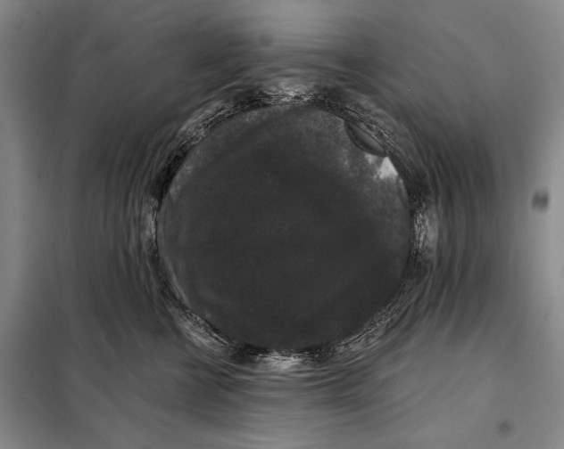 X0000098010570200804181138