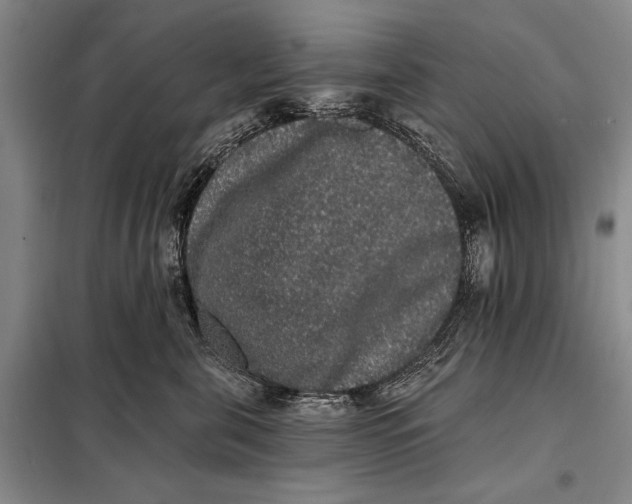 X0000098010571200804181138