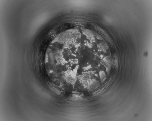 X0000098010573200804181138