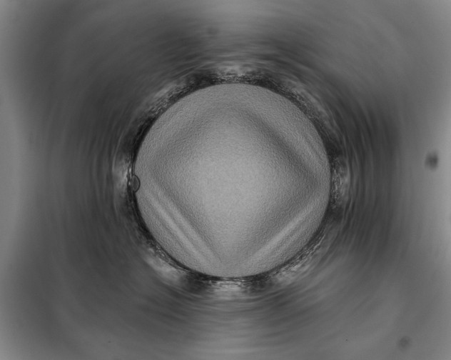 X0000098010574200804181138