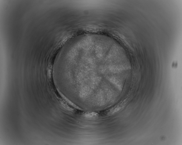 X0000098010576200804181138