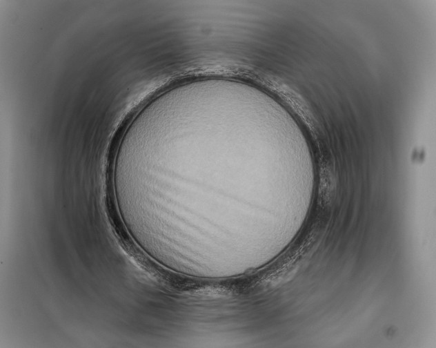 X0000098010578200804181137