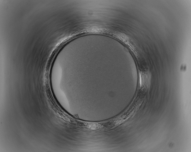 X0000098010579200804181137