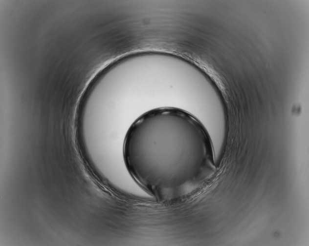 X0000098010580200804181137