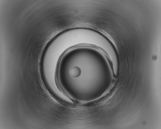 X0000098010581200804181137