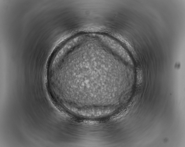 X0000098010582200804181137