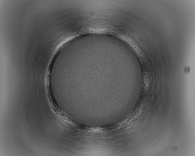 X0000098010583200804181137