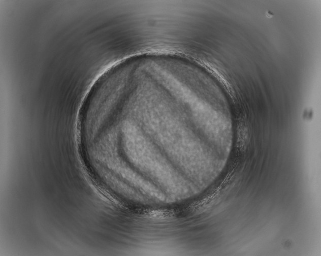 X0000098010584200804181137