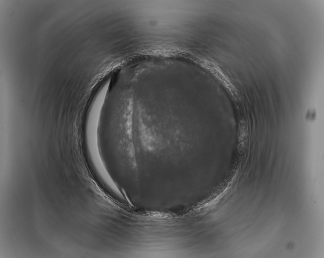 X0000098010585200804181137