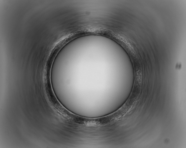 X0000098010587200804181137