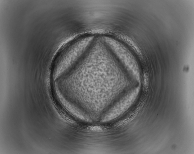 X0000098010588200804181137