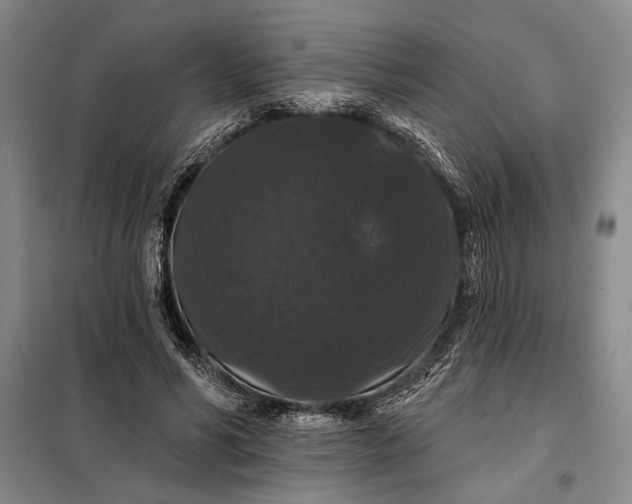 X0000098010590200804181137