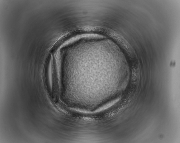 X0000098010592200804181137