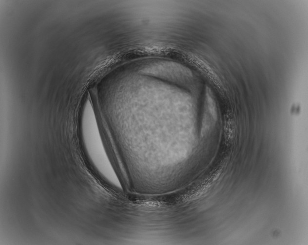 X0000098010593200804181137