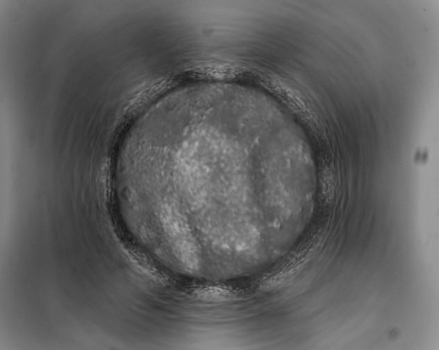 X0000098010594200804181137