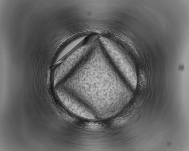 X0000098010596200804181137